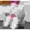 Pink-C