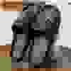 Black-C